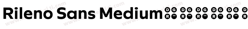 Rileno Sans Medium字体转换